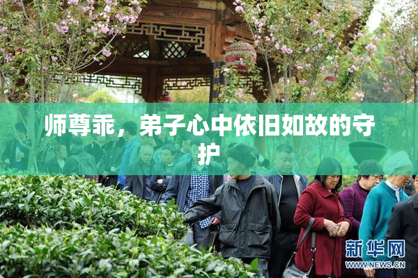 师尊乖，弟子心中依旧如故的守护
