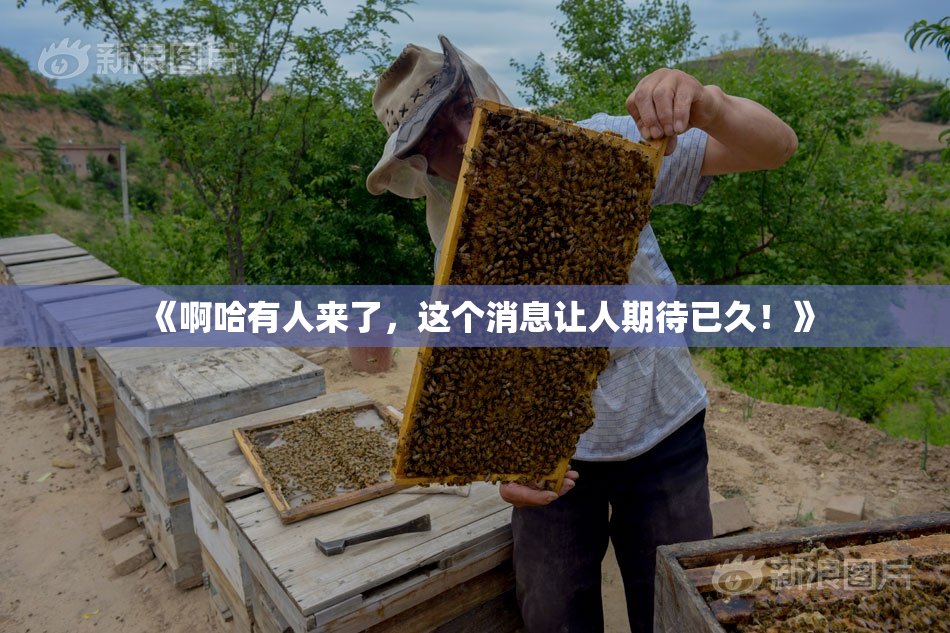 《啊哈有人来了，这个消息让人期待已久！》