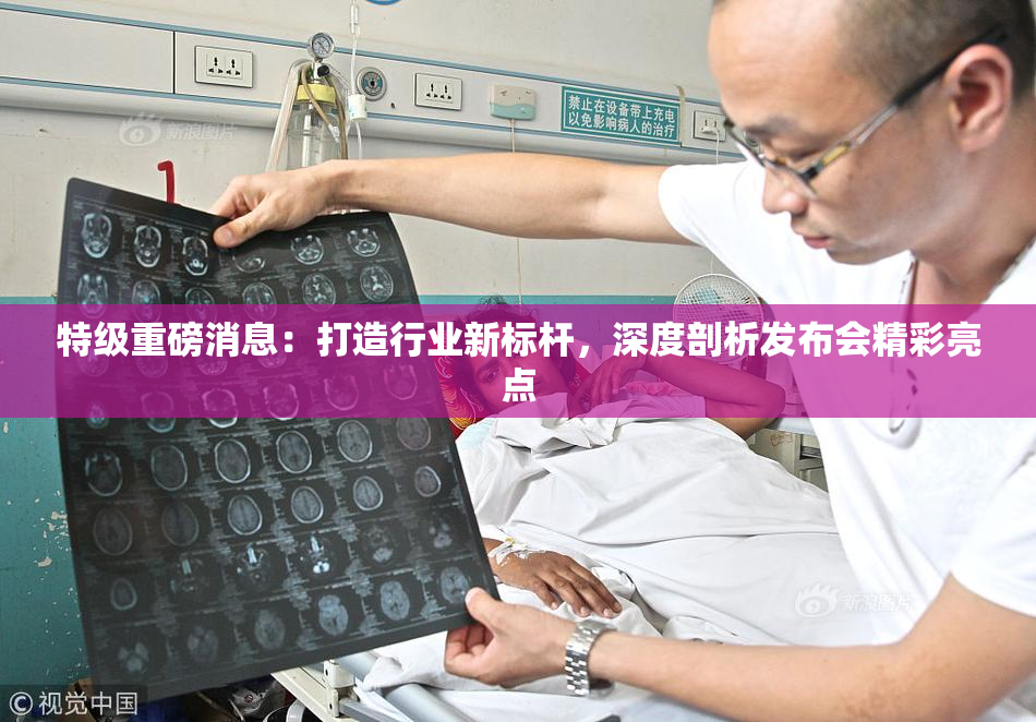 特级重磅消息：打造行业新标杆，深度剖析发布会精彩亮点