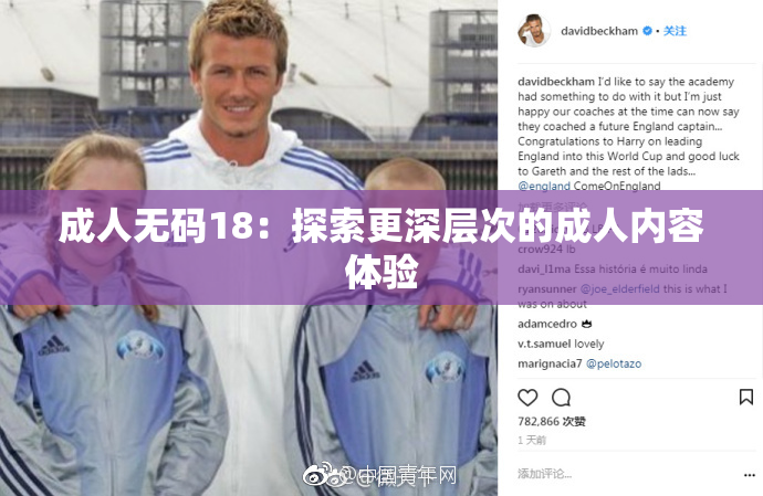 成人无码18：探索更深层次的成人内容体验