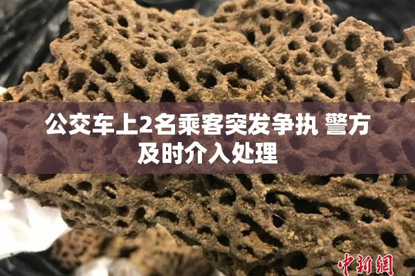公交车上2名乘客突发争执 警方及时介入处理