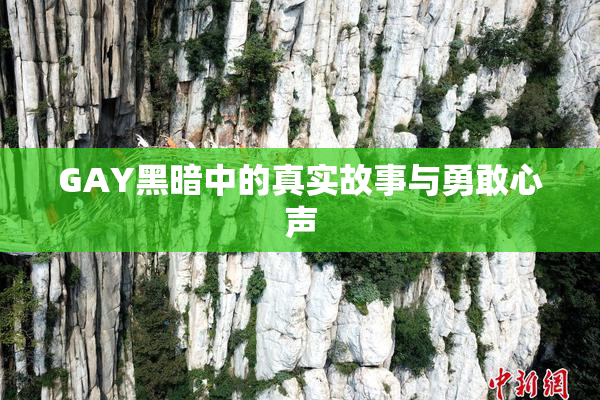 GAY黑暗中的真实故事与勇敢心声