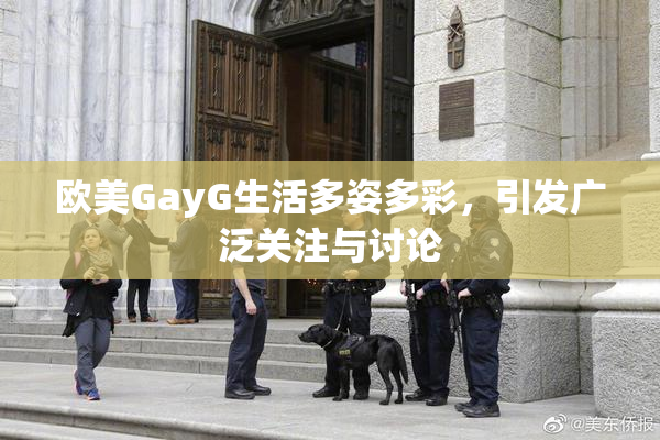 欧美GayG生活多姿多彩，引发广泛关注与讨论