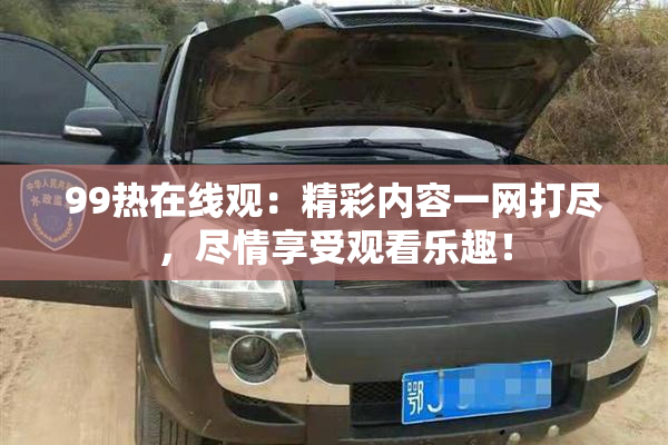 99热在线观：精彩内容一网打尽，尽情享受观看乐趣！