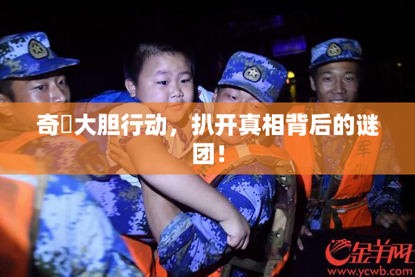 奇犽大胆行动，扒开真相背后的谜团！
