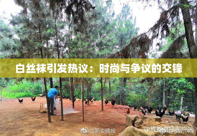 白丝袜引发热议：时尚与争议的交锋