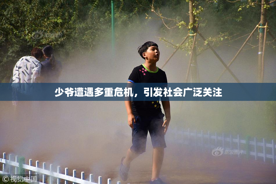 少爷遭遇多重危机，引发社会广泛关注