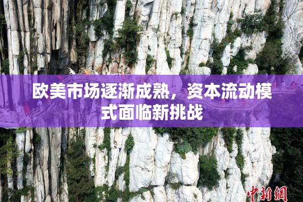 欧美市场逐渐成熟，资本流动模式面临新挑战