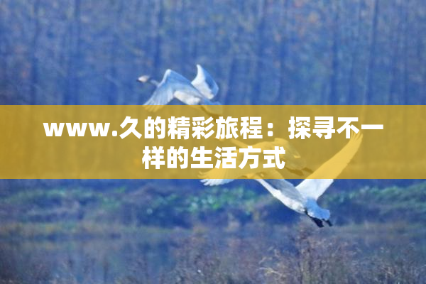 www.久的精彩旅程：探寻不一样的生活方式