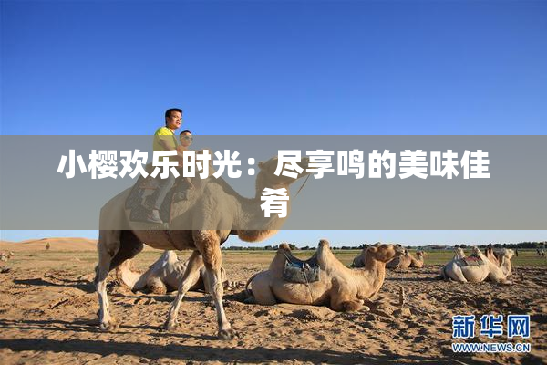 小樱欢乐时光：尽享鸣的美味佳肴