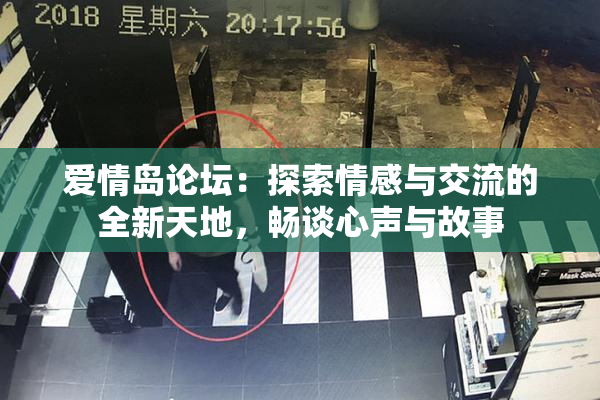 爱情岛论坛：探索情感与交流的全新天地，畅谈心声与故事