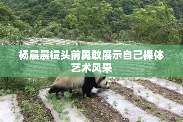 杨晨晨镜头前勇敢展示自己裸体艺术风采