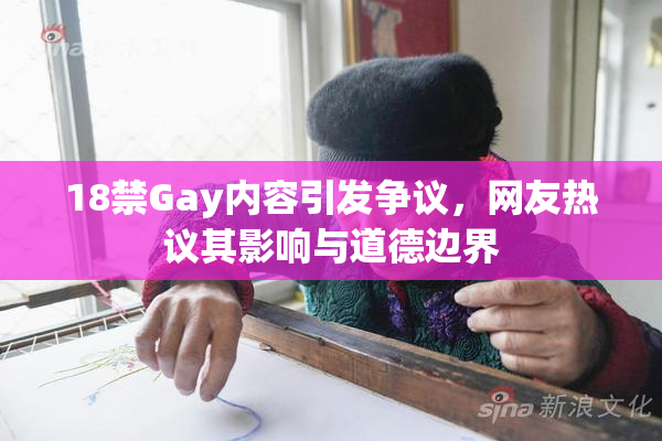 18禁Gay内容引发争议，网友热议其影响与道德边界