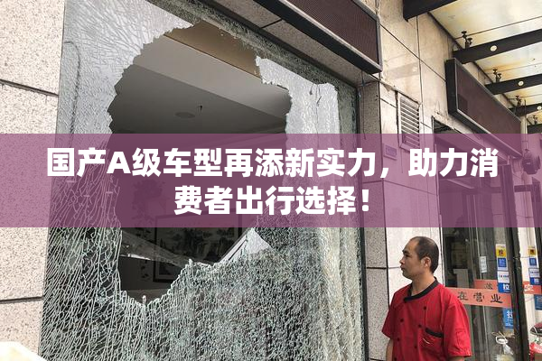 国产A级车型再添新实力，助力消费者出行选择！
