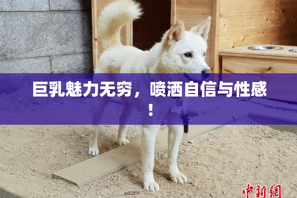 巨乳魅力无穷，喷洒自信与性感！