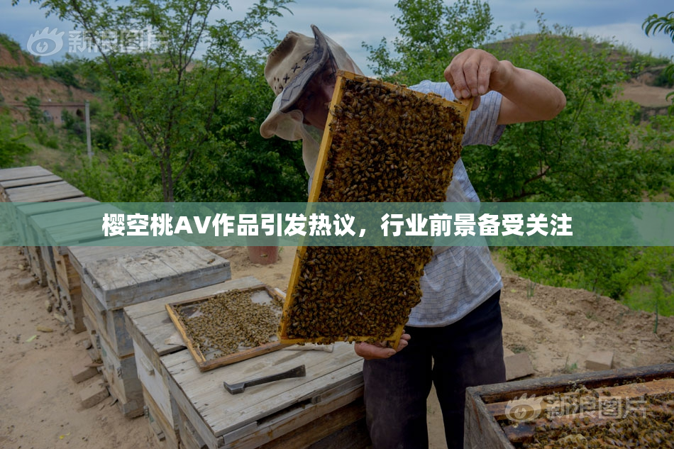 樱空桃AV作品引发热议，行业前景备受关注