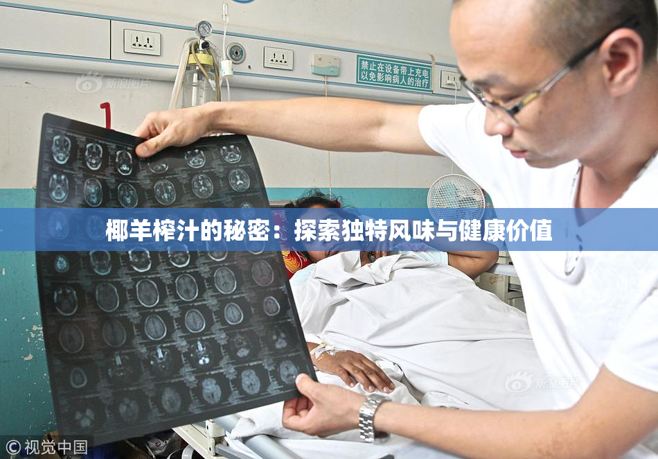 椰羊榨汁的秘密：探索独特风味与健康价值