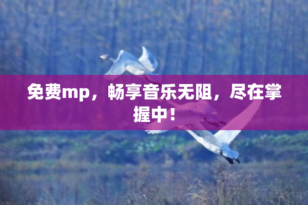 免费mp，畅享音乐无阻，尽在掌握中！