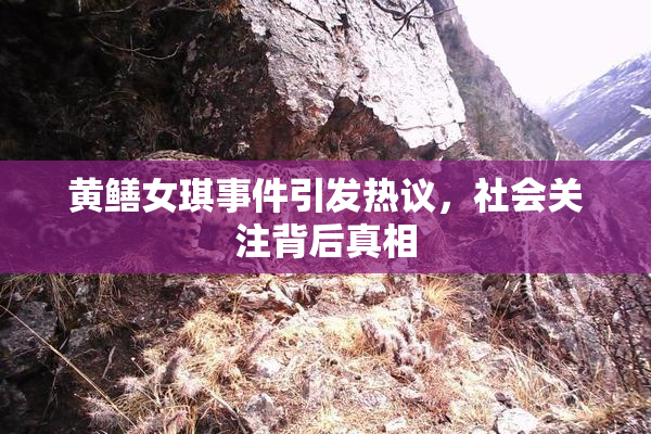 黄鳝女琪事件引发热议，社会关注背后真相