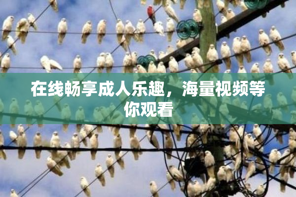 在线畅享成人乐趣，海量视频等你观看