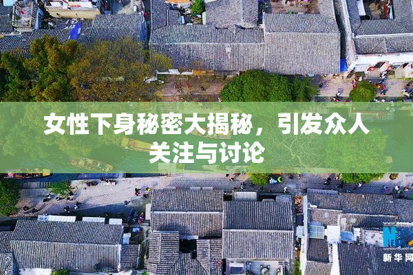 女性下身秘密大揭秘，引发众人关注与讨论