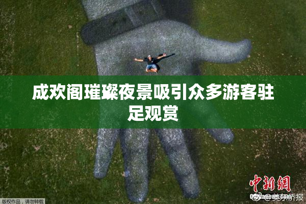成欢阁璀璨夜景吸引众多游客驻足观赏