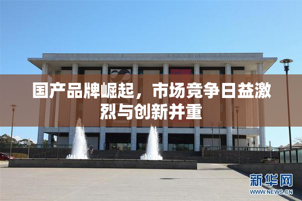 国产品牌崛起，市场竞争日益激烈与创新并重