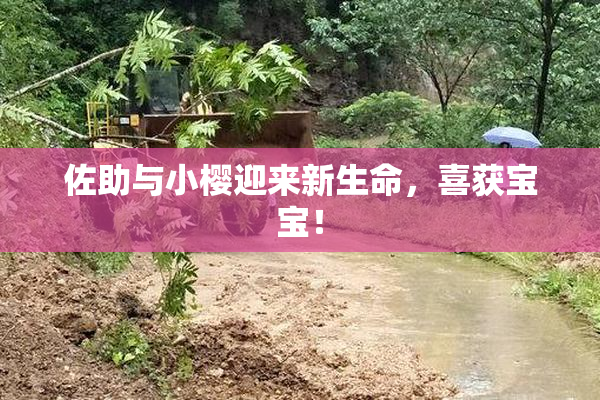 佐助与小樱迎来新生命，喜获宝宝！