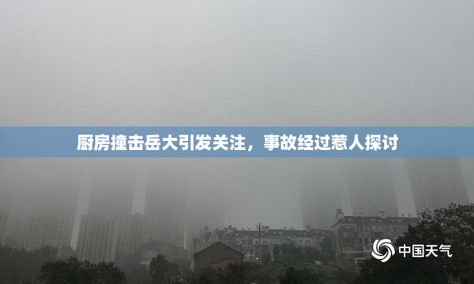 厨房撞击岳大引发关注，事故经过惹人探讨