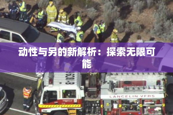 动性与另的新解析：探索无限可能