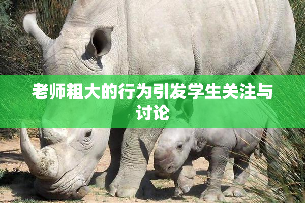 老师粗大的行为引发学生关注与讨论