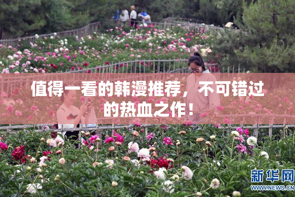 值得一看的韩漫推荐，不可错过的热血之作！