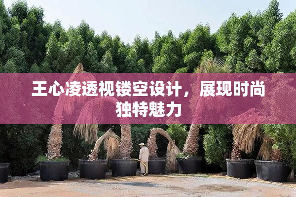 王心凌透视镂空设计，展现时尚独特魅力