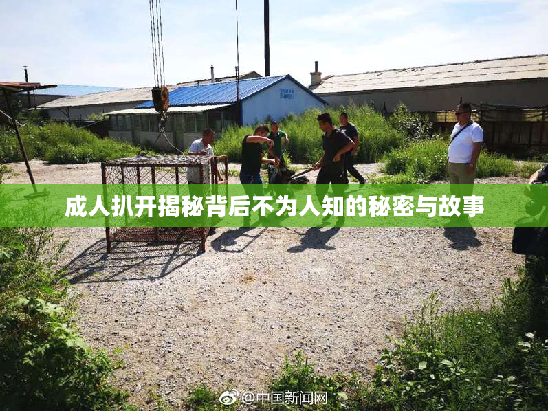 成人扒开揭秘背后不为人知的秘密与故事