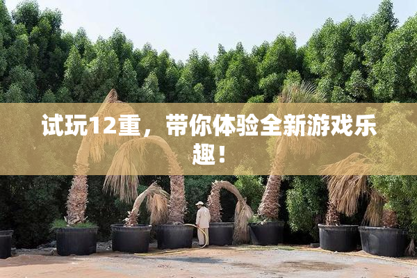 试玩12重，带你体验全新游戏乐趣！