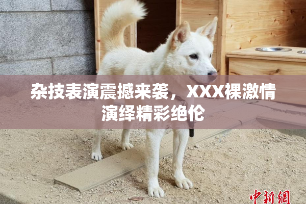 杂技表演震撼来袭，XXX裸激情演绎精彩绝伦