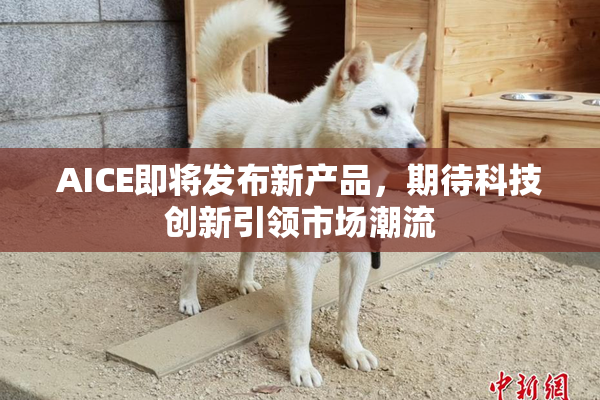 AICE即将发布新产品，期待科技创新引领市场潮流