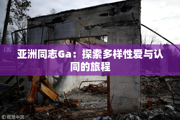 亚洲同志Ga：探索多样性爱与认同的旅程