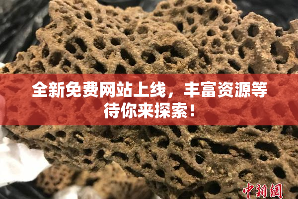 全新免费网站上线，丰富资源等待你来探索！