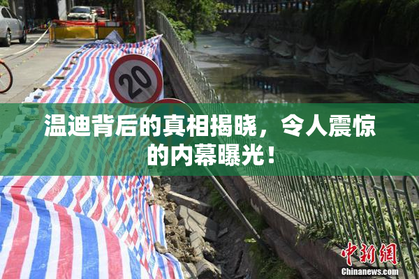 温迪背后的真相揭晓，令人震惊的内幕曝光！