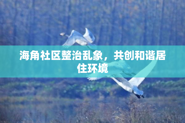 海角社区整治乱象，共创和谐居住环境