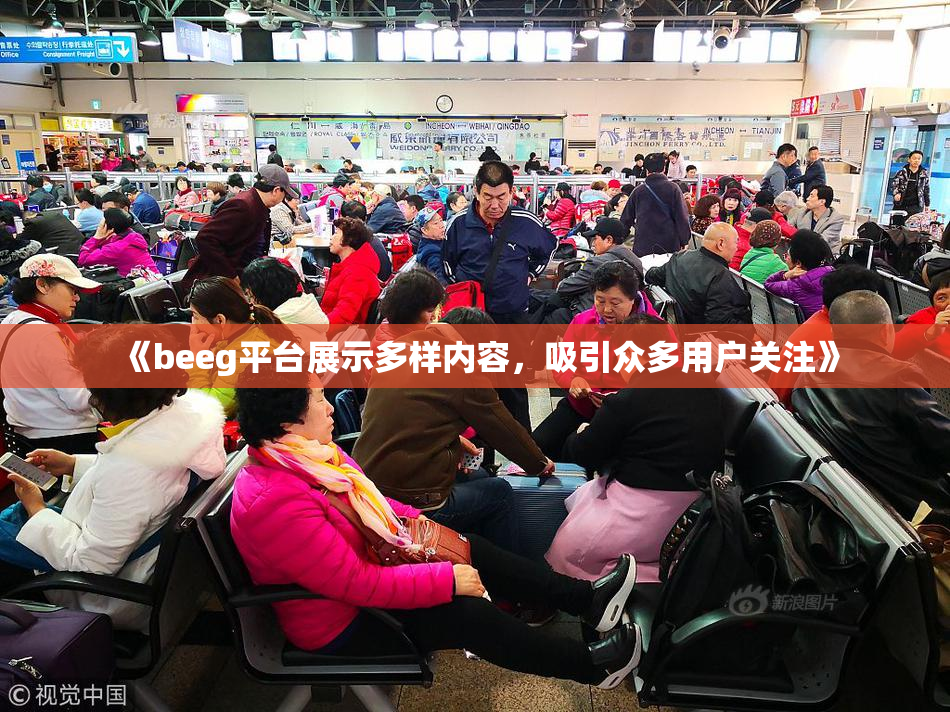 《beeg平台展示多样内容，吸引众多用户关注》