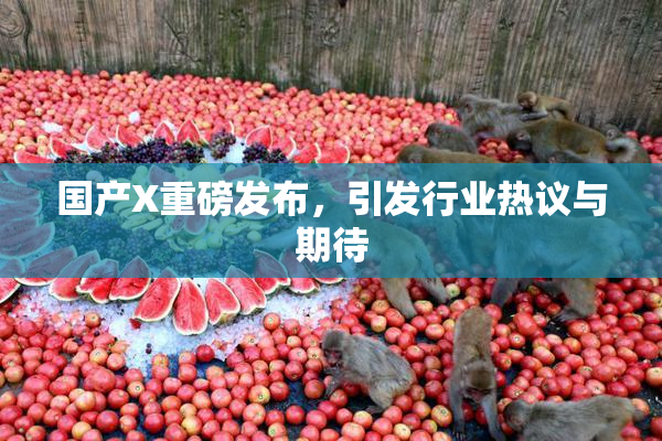 国产X重磅发布，引发行业热议与期待
