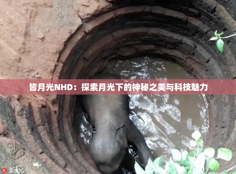 皆月光NHD：探索月光下的神秘之美与科技魅力