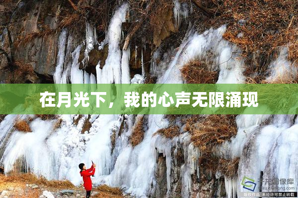 在月光下，我的心声无限涌现