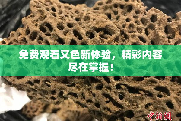 免费观看又色新体验，精彩内容尽在掌握！