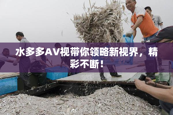 水多多AV视带你领略新视界，精彩不断！