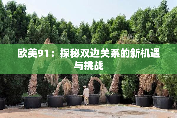 欧美91：探秘双边关系的新机遇与挑战