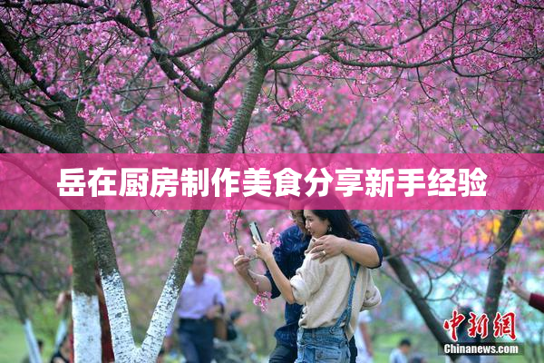 岳在厨房制作美食分享新手经验