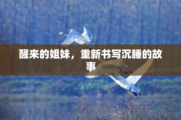 醒来的姐妹，重新书写沉睡的故事
